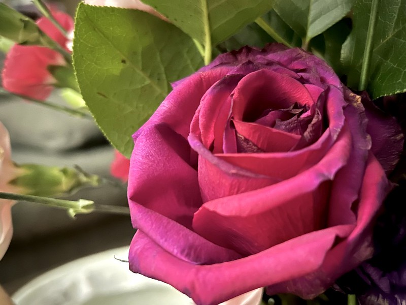 February 22