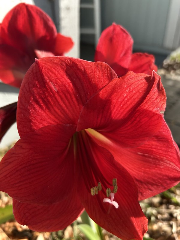 April 2